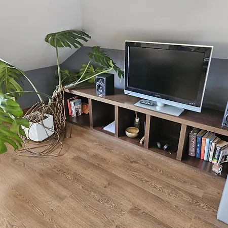 Quiet Attic In Family House 公寓 班斯卡-比斯特里察